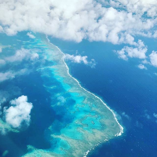 Coral reef just before landing in Taveuni